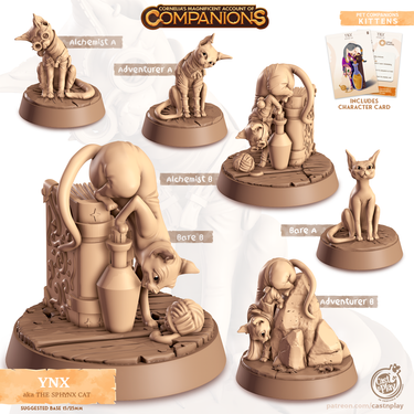 Ynx the Sphinx Cat